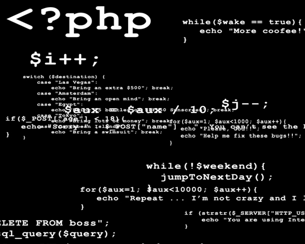 PHP Programmers Brain Screenshot